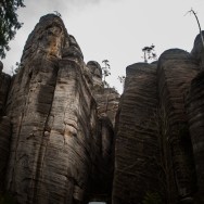 _D302815
