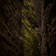 _D302879