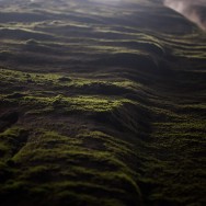 _D302981