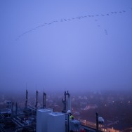 _D4L3017